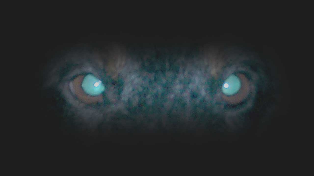 Intro machine vision system